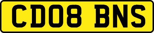 CD08BNS