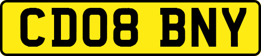 CD08BNY