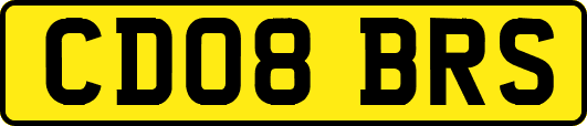 CD08BRS