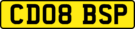 CD08BSP