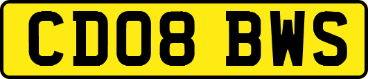 CD08BWS