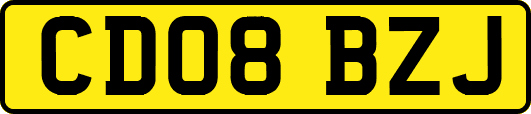 CD08BZJ
