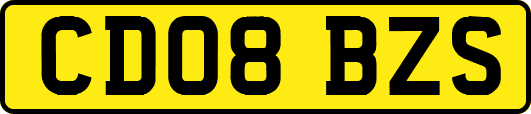 CD08BZS