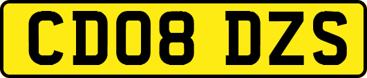 CD08DZS
