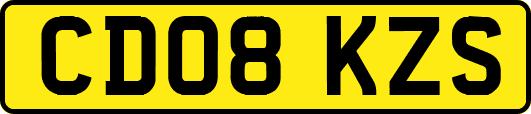CD08KZS