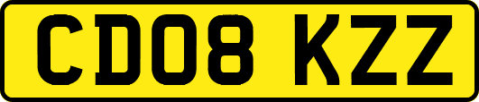 CD08KZZ