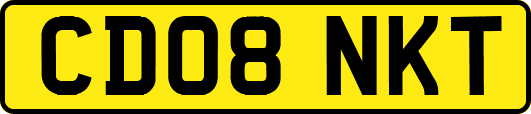 CD08NKT