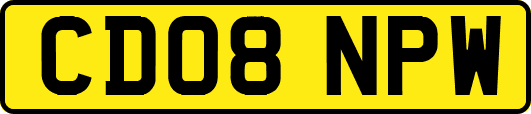 CD08NPW