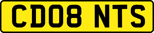 CD08NTS