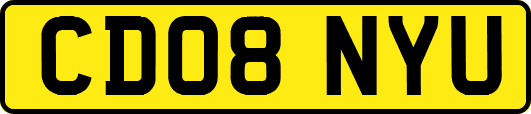 CD08NYU
