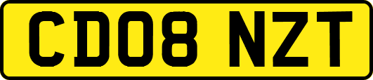 CD08NZT