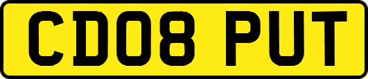 CD08PUT