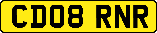 CD08RNR