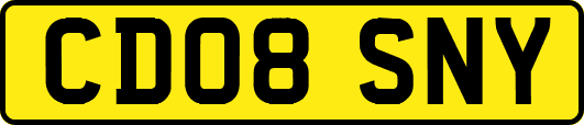 CD08SNY