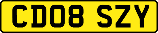 CD08SZY
