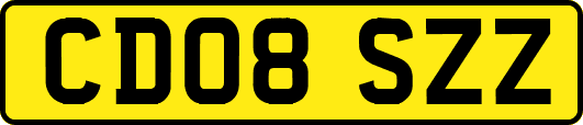 CD08SZZ