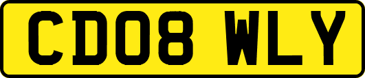 CD08WLY