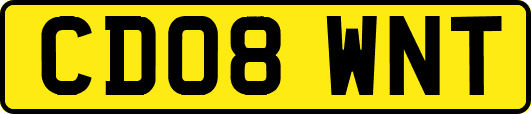 CD08WNT