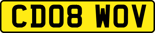 CD08WOV