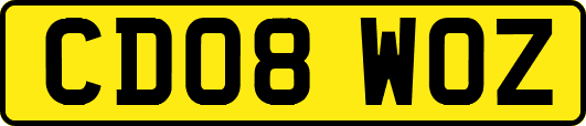 CD08WOZ