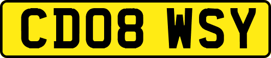 CD08WSY