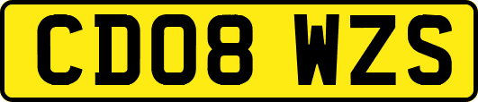 CD08WZS