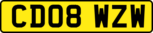 CD08WZW