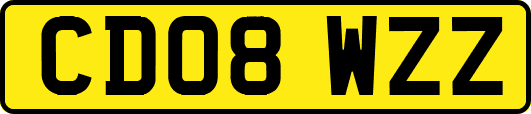 CD08WZZ