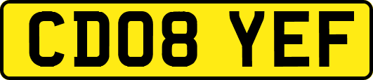 CD08YEF