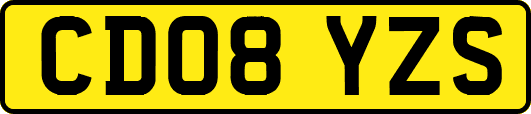 CD08YZS