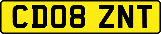 CD08ZNT