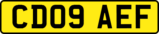 CD09AEF