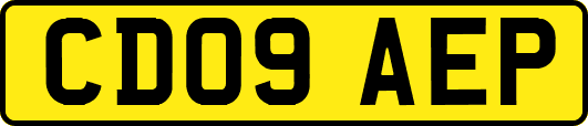 CD09AEP