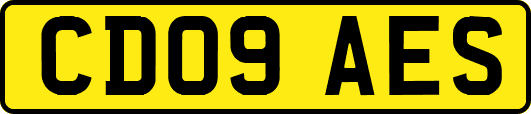CD09AES