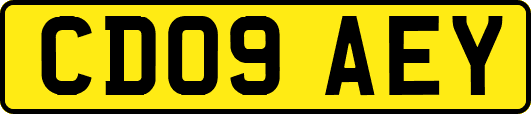 CD09AEY
