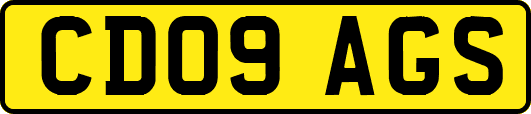 CD09AGS