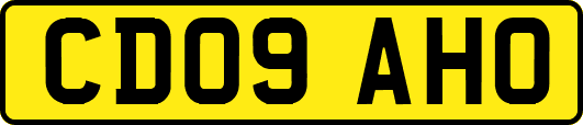 CD09AHO