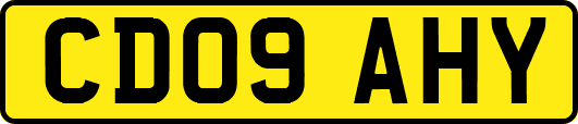 CD09AHY