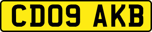 CD09AKB