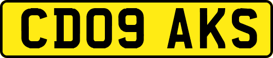 CD09AKS