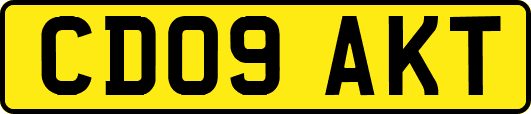 CD09AKT