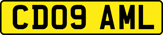 CD09AML