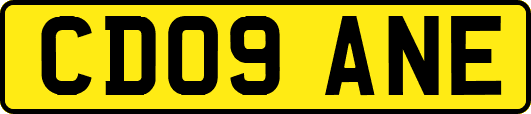 CD09ANE