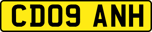 CD09ANH
