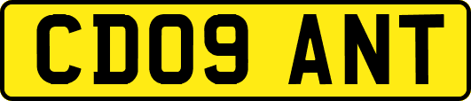 CD09ANT