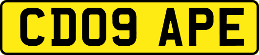 CD09APE