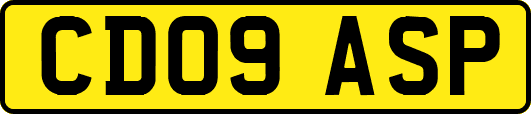 CD09ASP