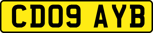 CD09AYB