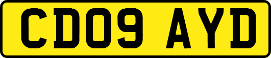 CD09AYD