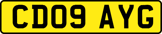 CD09AYG